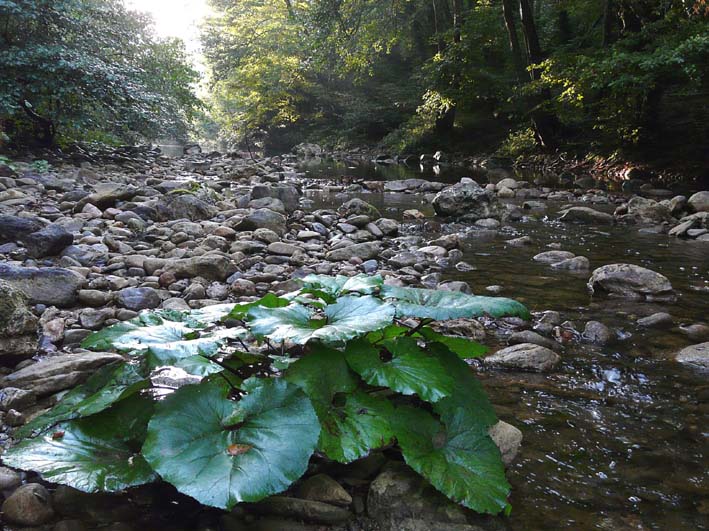 Valle del Farma e Stagno della Troscia: luoghi meravigliosi!